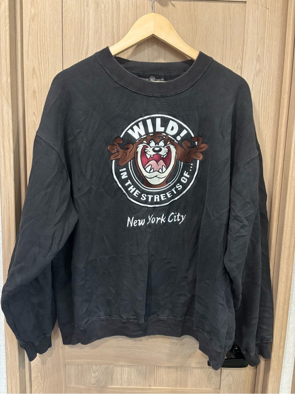 Vintage 1995 Taz Loonie Tunes Crew Sweater Size L 90s Cartoon New York City Y2K